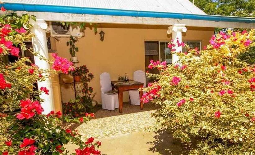 Homestead Bed And Breakfast