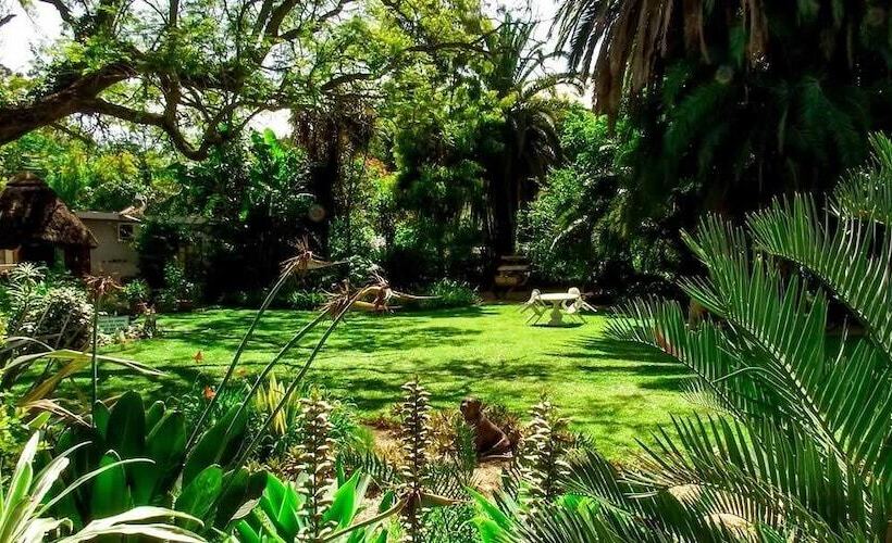 Homestead Bed And Breakfast