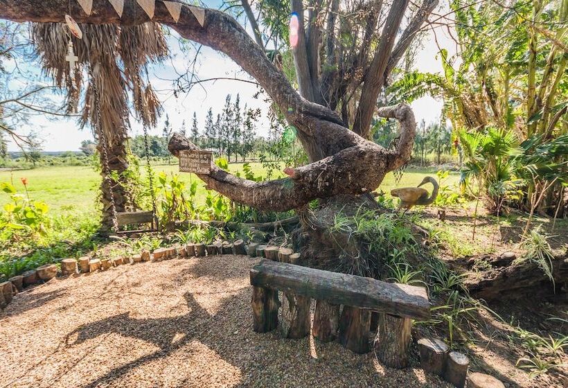 Homestead Bed And Breakfast