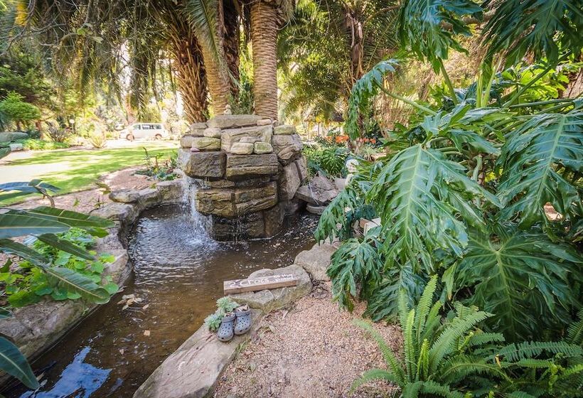 Homestead Bed And Breakfast