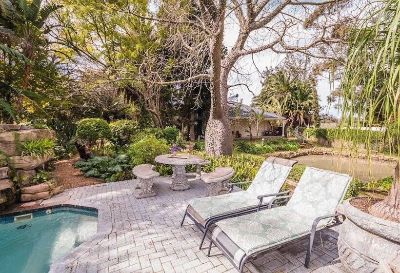 Homestead Bed And Breakfast