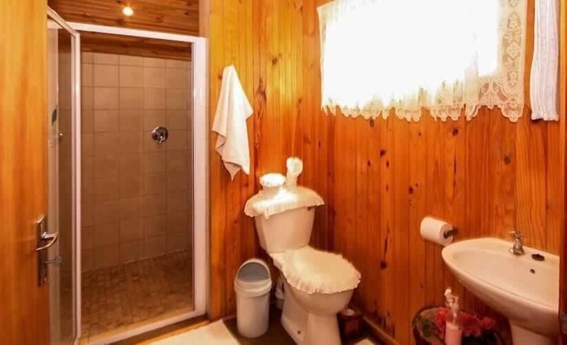 Homestead Bed And Breakfast