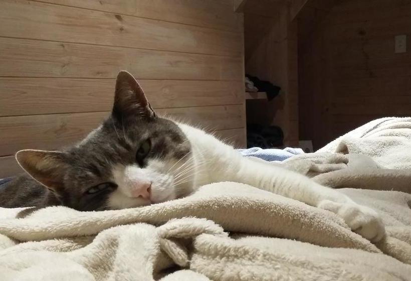 Hope Villa Bed & Breakfast