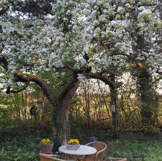 בית מלון כפרי B&b Rezonans