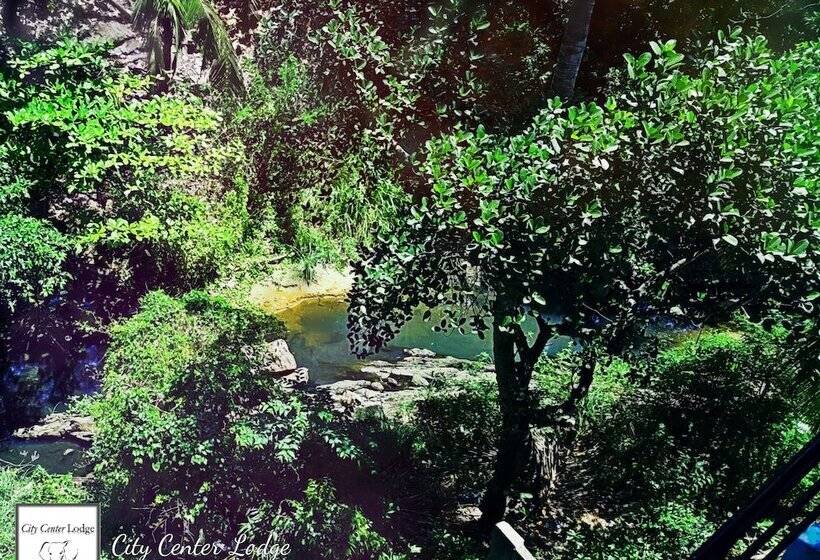 호텔 City Center Lodge