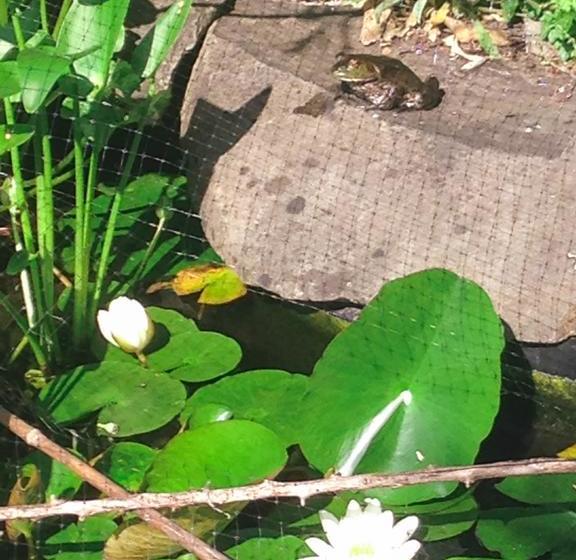 בית מלון כפרי Holmesdale House Bed And Breakfast