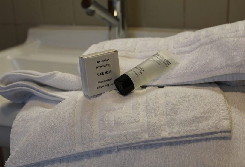 호텔 Irish College Leuven