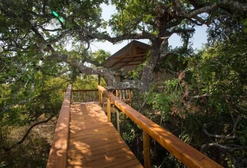 ホテル Lion Tree Top Lodge