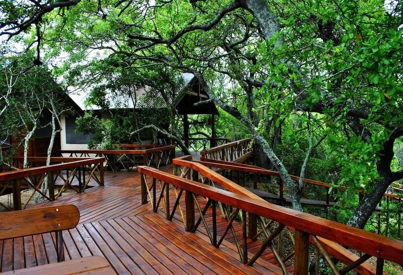 ホテル Lion Tree Top Lodge