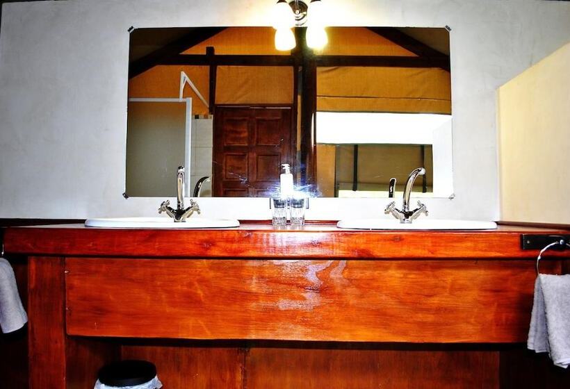 ホテル Lion Tree Top Lodge