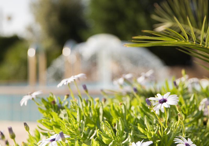 Lu  Hotel Porto Pino