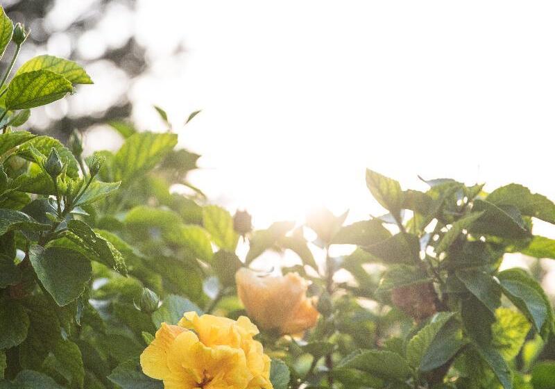 Lu  Hotel Porto Pino