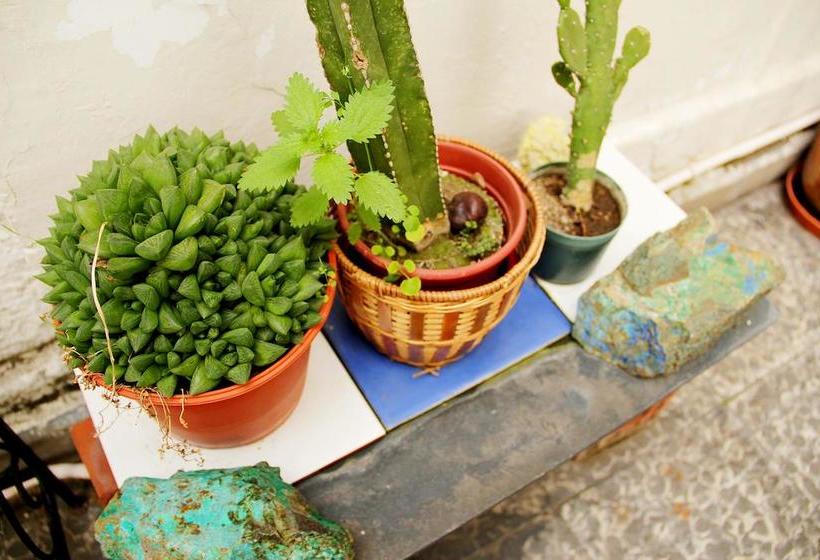 호텔 Newen Kara Hostel