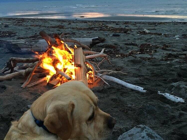 酒店 Ocean House Inn & Condos