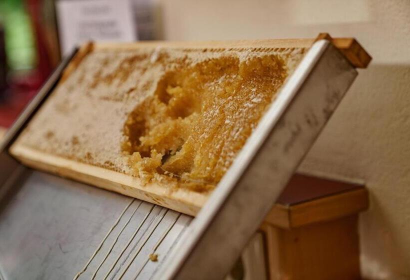 Panoramahotel Gürtl