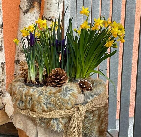 호텔 Pension Schattberg