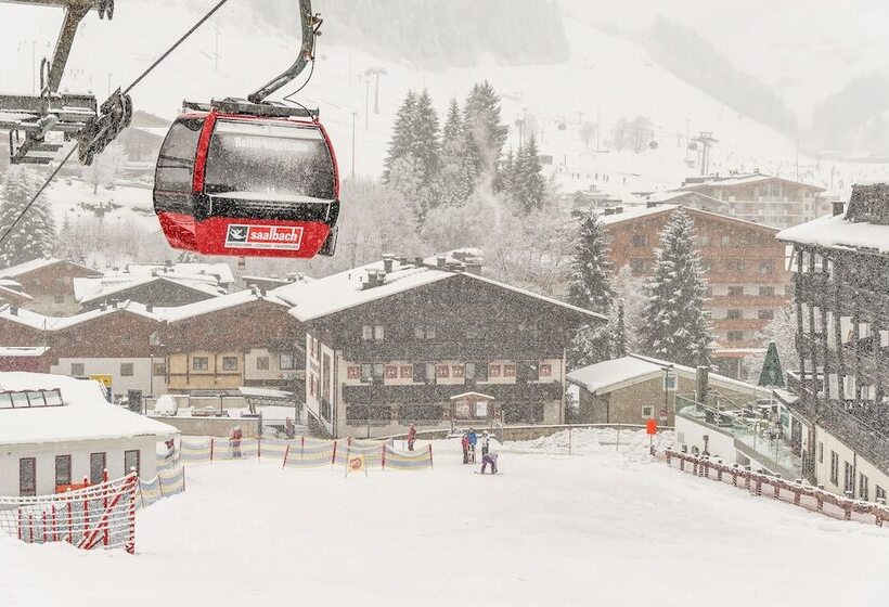 Отель Pinzgauerhof Ski & Bike   Inclusive Evening Dinner