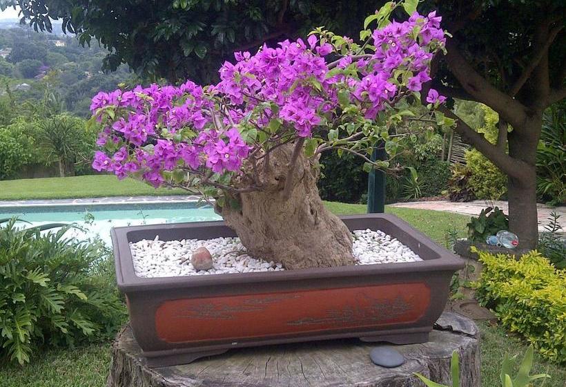 Отель Red Tudor B&b