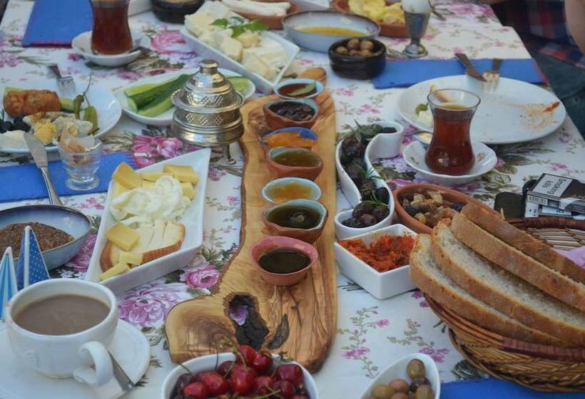 فندق Son Vapur Kuleli Konukevi