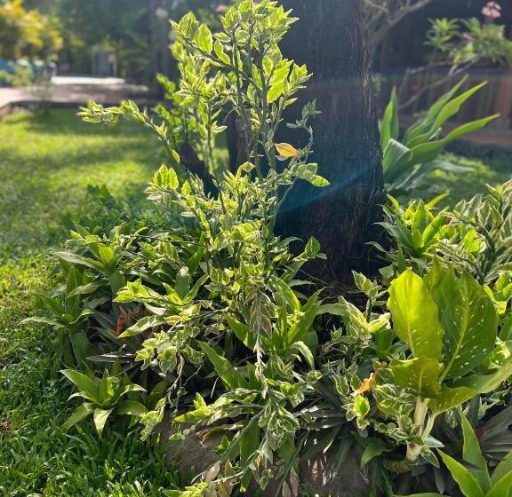 فندق The Moon Kampot Boutique