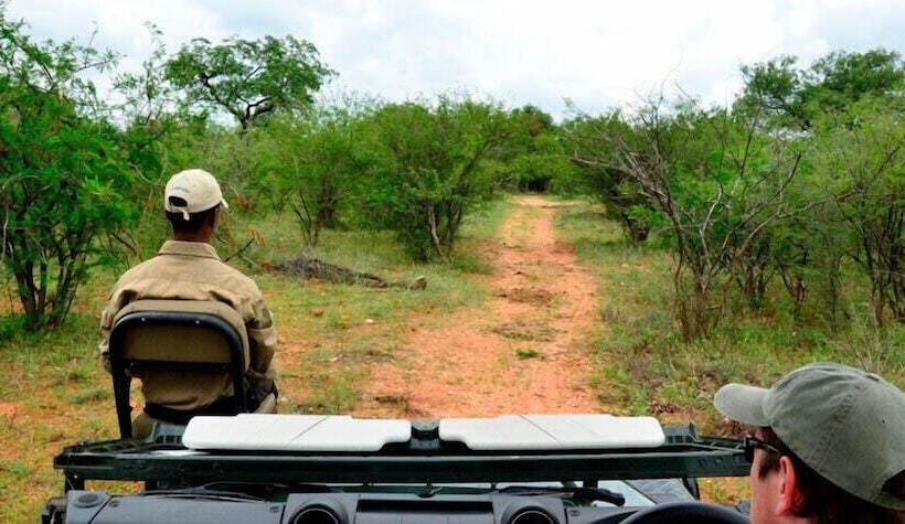 בית מלון כפרי Tingala Lodge