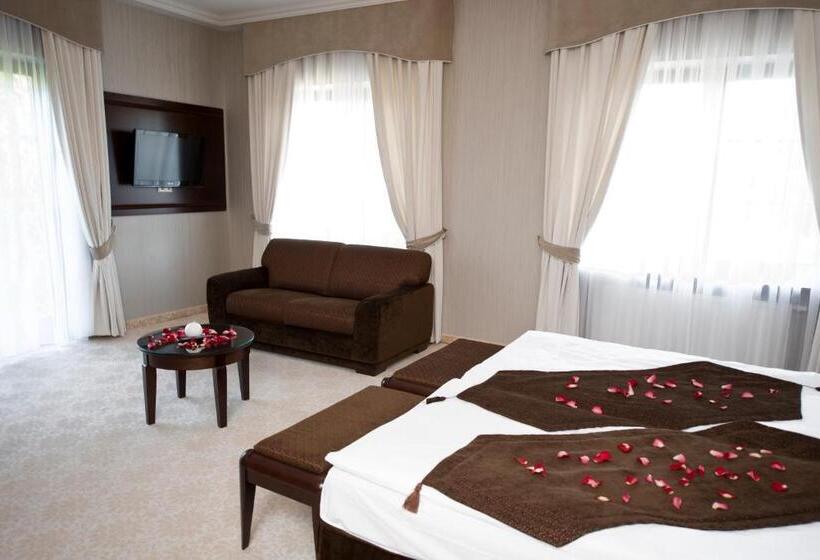 ホテル Willa Zagórze