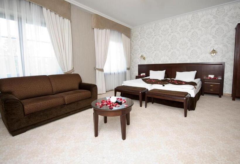 ホテル Willa Zagórze