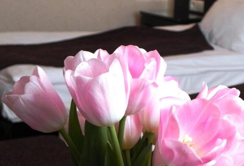 Отель Willa Zagórze