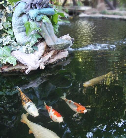 Jedidja Bed And Breakfast