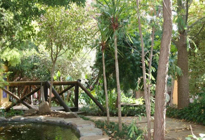 Jedidja Bed And Breakfast