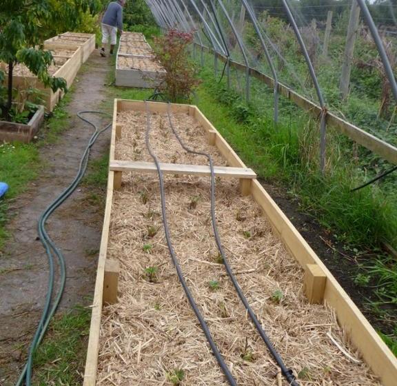 Karingal Homestead B&b