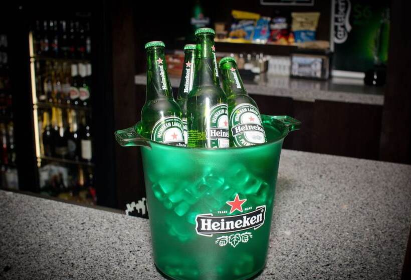 汽车旅馆  Racecourse Hotel And Motor Lodge