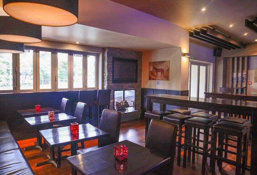 汽车旅馆  Racecourse Hotel And Motor Lodge