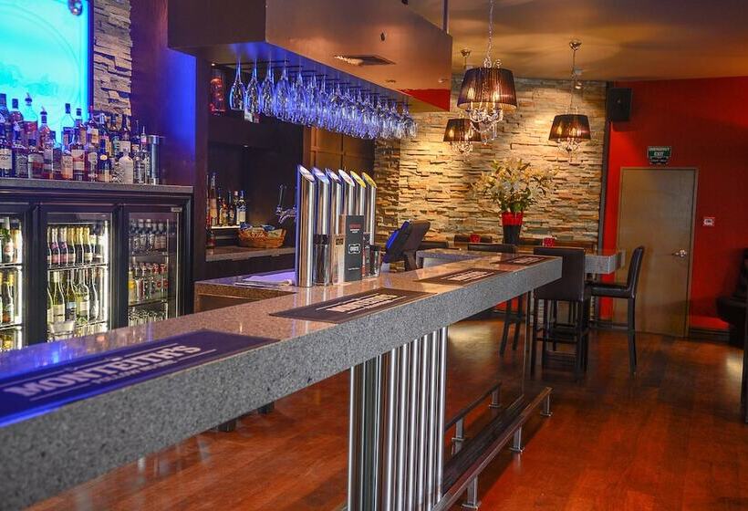 汽车旅馆  Racecourse Hotel And Motor Lodge