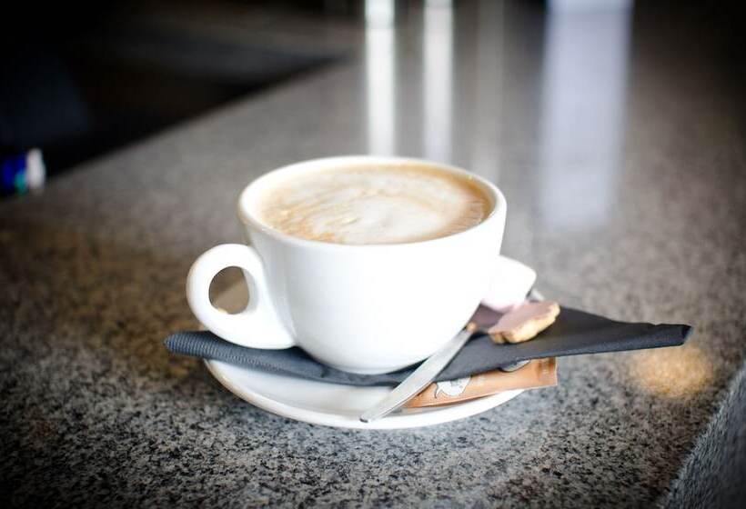 汽车旅馆  Racecourse Hotel And Motor Lodge