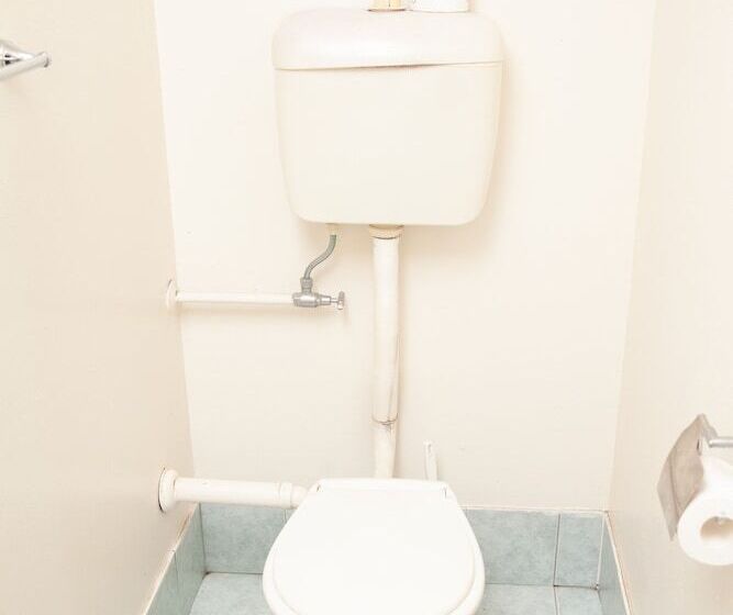 מוטל Royal Hotel Singleton