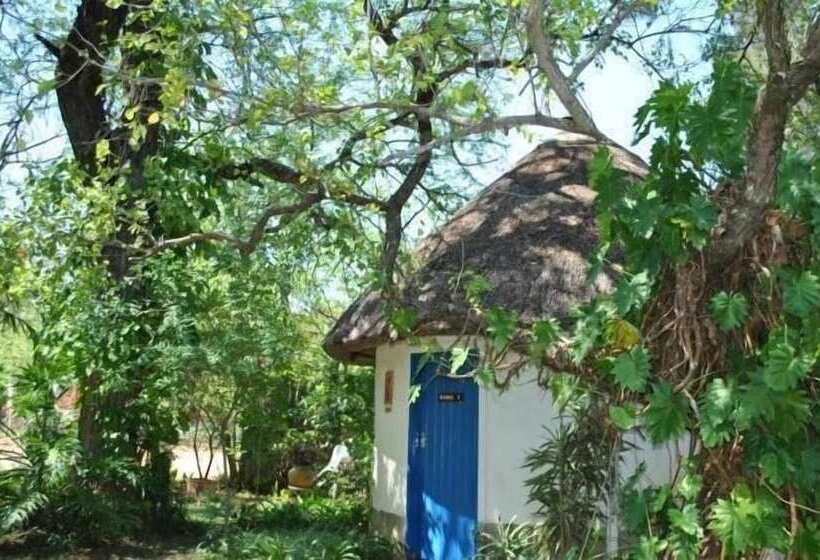 פנסיון Blue Cottages