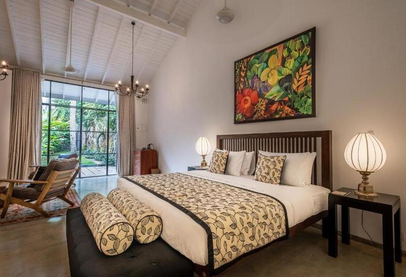 膳宿费 Fifty Lighthouse Street