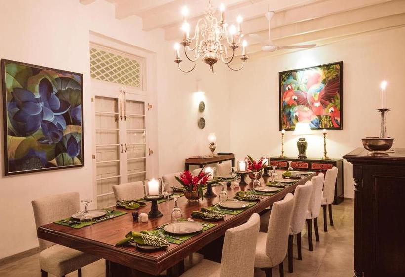 膳宿费 Fifty Lighthouse Street