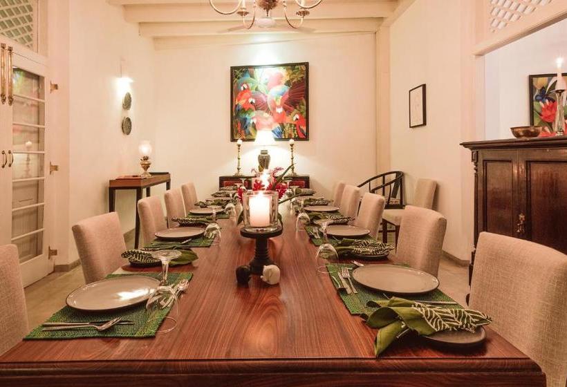 膳宿费 Fifty Lighthouse Street