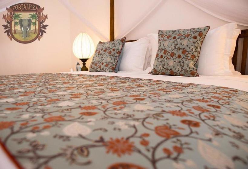 膳宿费 Fifty Lighthouse Street