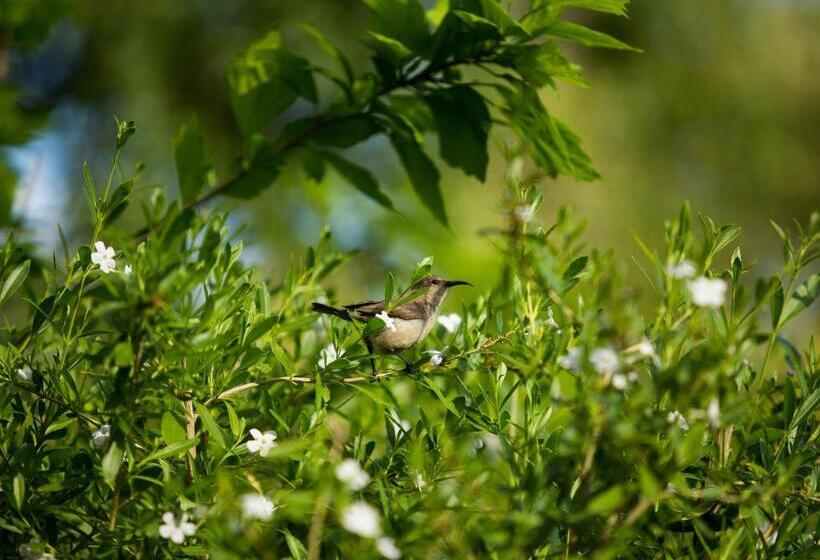 بنسيون In Abundance Guest House