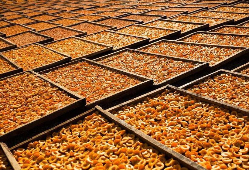 بنسيون In Abundance Guest House