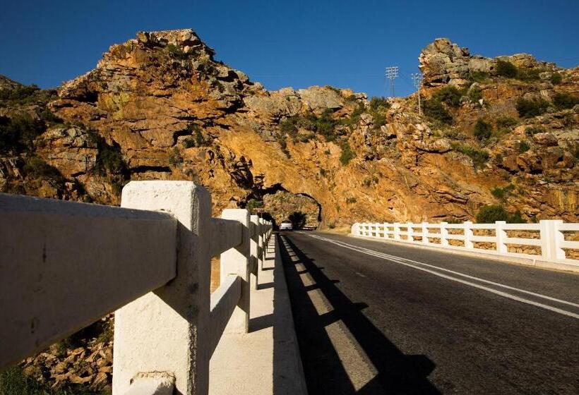 بنسيون In Abundance Guest House