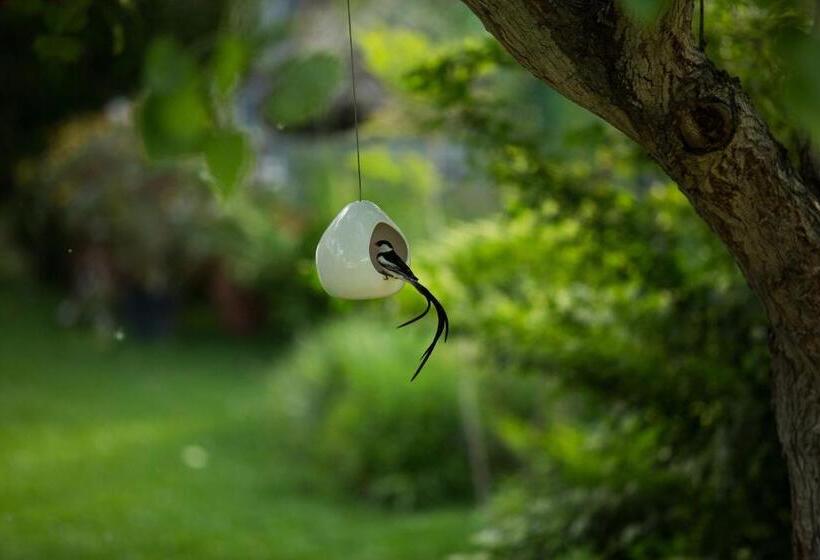 بنسيون In Abundance Guest House