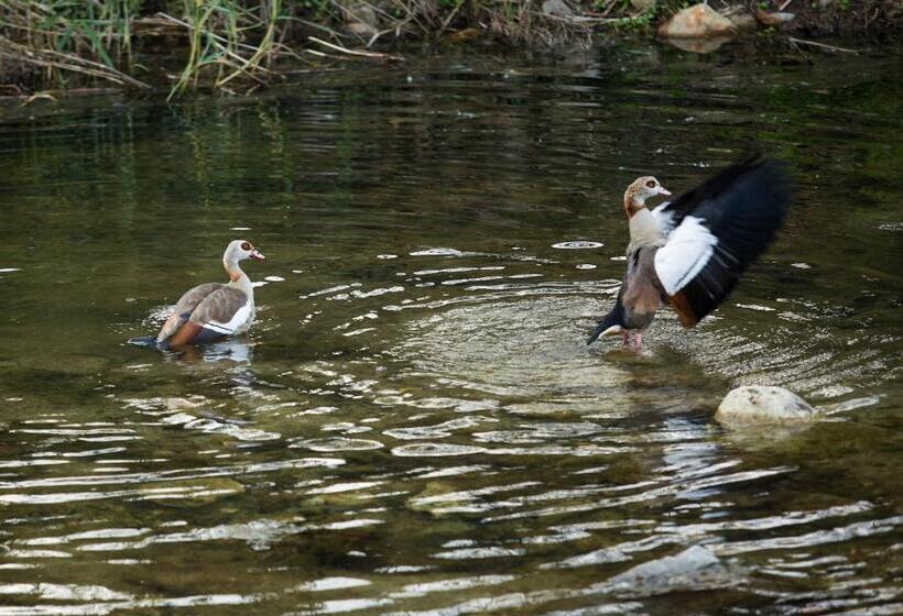 بنسيون In Abundance Guest House