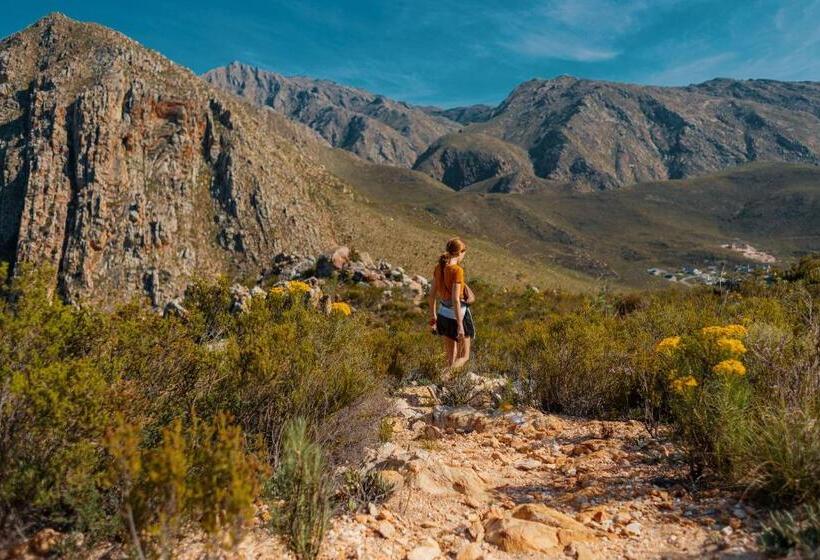 بنسيون In Abundance Guest House