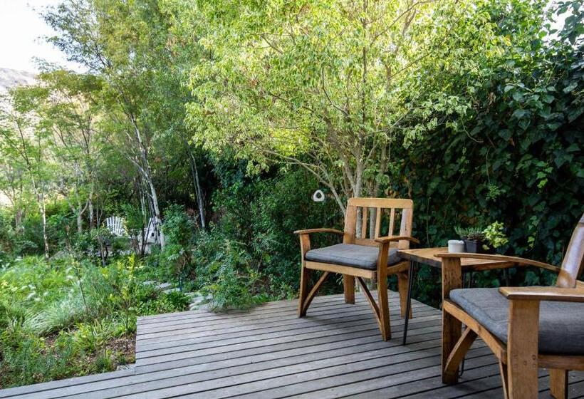 بنسيون In Abundance Guest House