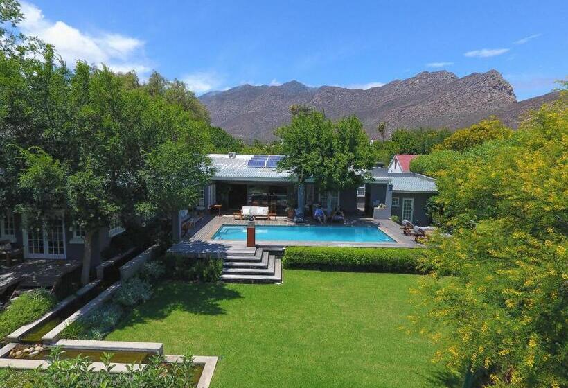 بنسيون In Abundance Guest House