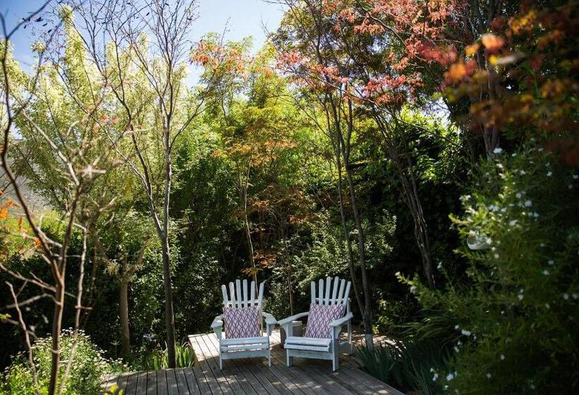 بنسيون In Abundance Guest House